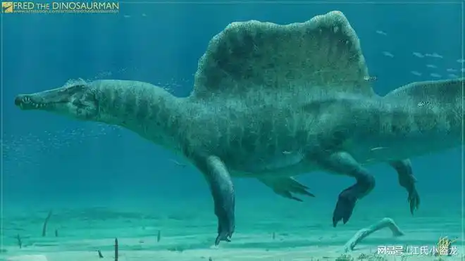 化石|恐龙|重爪龙_网易订阅