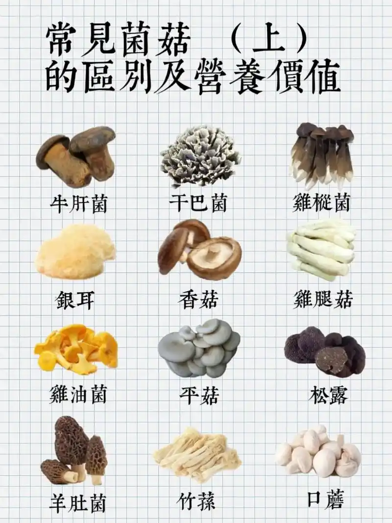 常见菌菇的区别及营养价值#图文来了 - 抖音