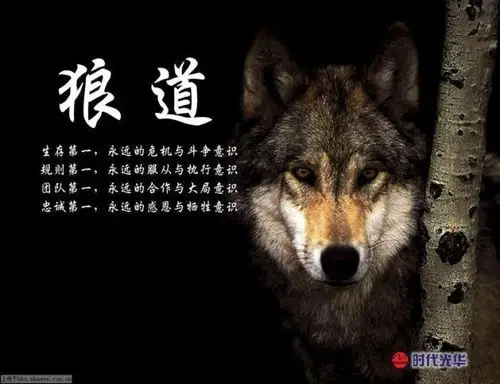 帮我找一张关于狼的图片上面写了满江红孤狼啸月的图片.