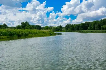 水上景观一个美丽的景观形象,从河的中心,周围的树木和芦苇在海岸和