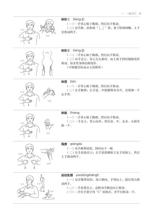 中国聋人协会,国家手语和盲