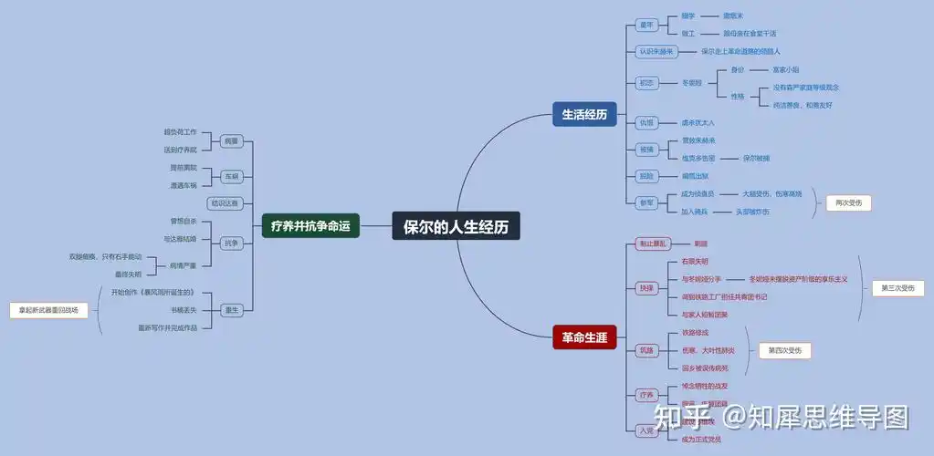 有没有关于保尔柯察金的成长史的思维导图