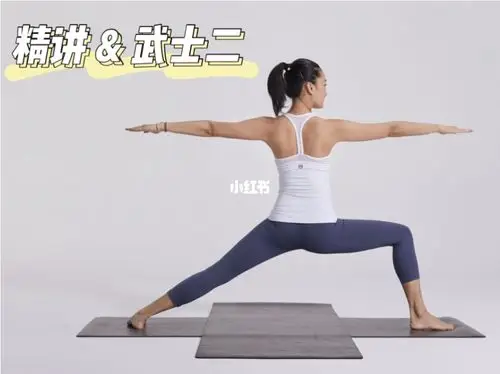 正义的天平武士二体式分解