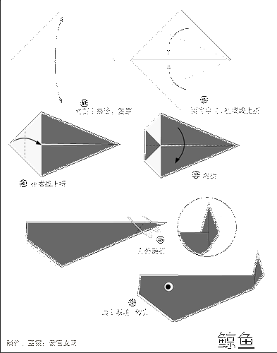 鲸鱼的折法可爱的鲸鱼折纸方法鲸鱼折纸怎么折怎么折鲸鱼艺术家刘通为