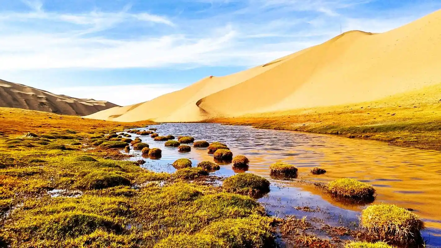 可可西里无人区有什么?带你深入了解这一"人类禁区"