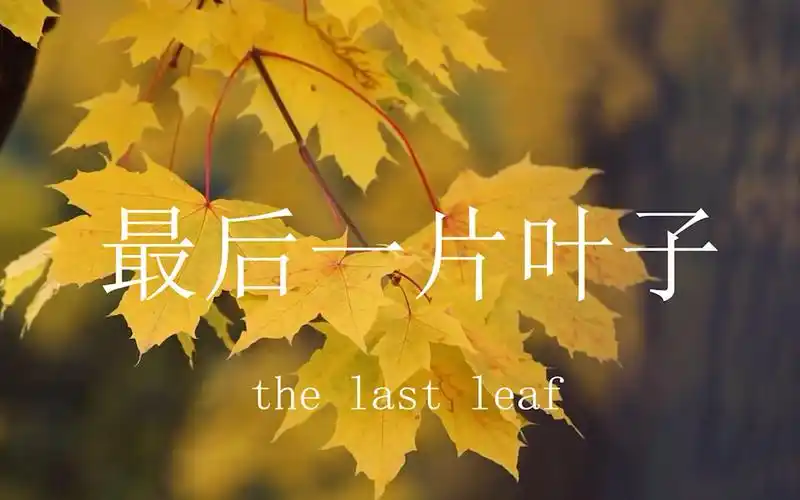 thelastleaf最后一片叶子412出品