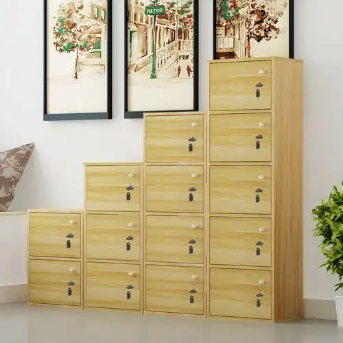 简约现代带锁小柜子储物柜带门特价学生书架书柜置物收纳柜组合木