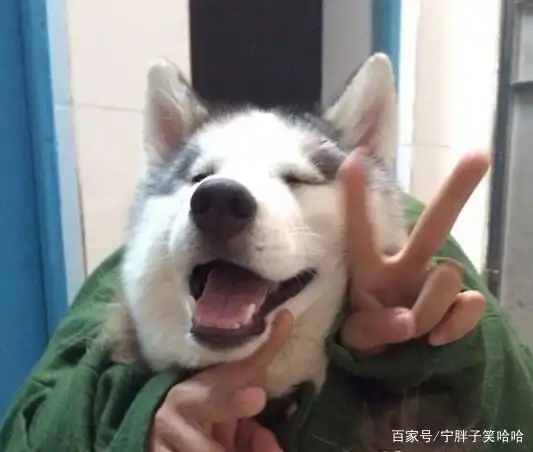 6.来,卖个萌,万年无敌剪刀手!耶!