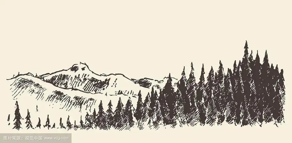 手绘景观冷杉林和草地素描