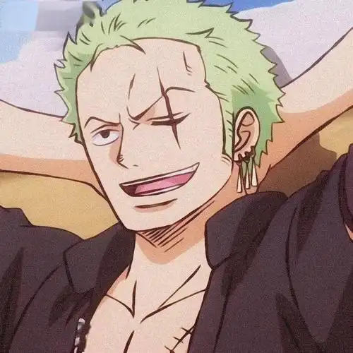海贼王索隆头像_侵权