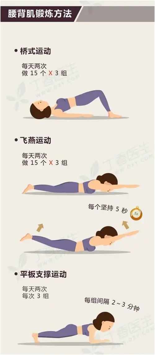 腰背肌锻炼方法