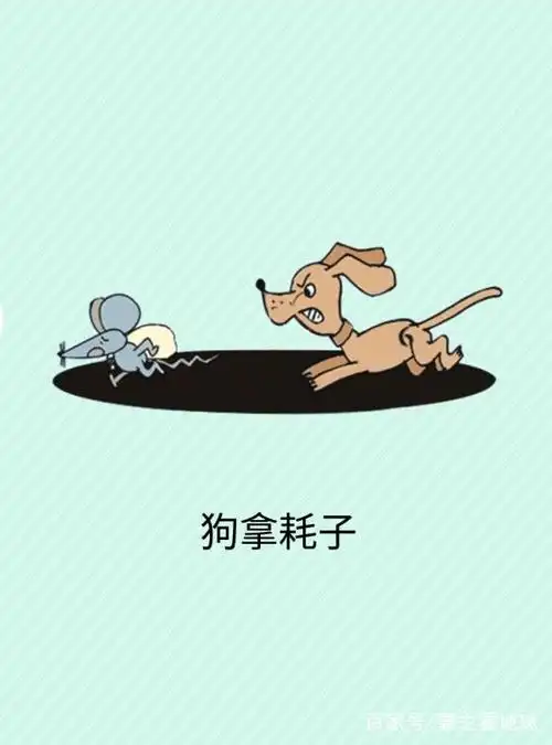 7题看图猜歇后语:和文化水平没关系