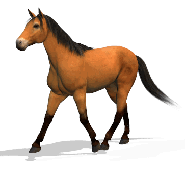 马踏着稳健的步伐,来了!-绝地反击