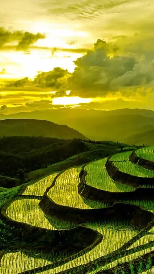 中国最美梯田