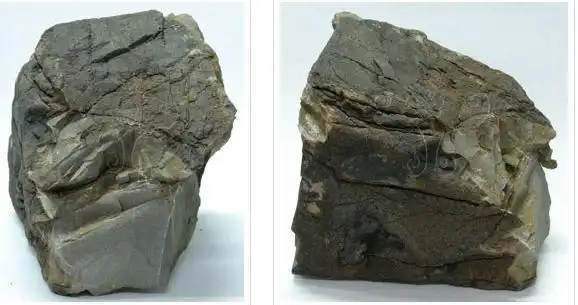 煌斑岩的矿物成分