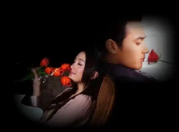 比红颜知己多了一份懂得!