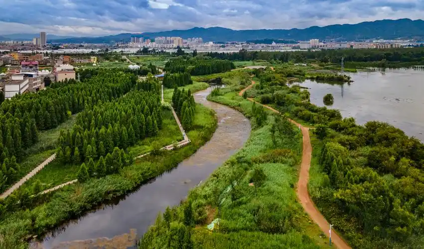 晋宁南湾滇池国家湿地公园