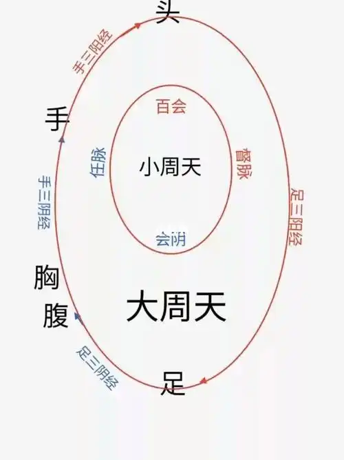 什么是大小周天循环#李少波  #通任督脉