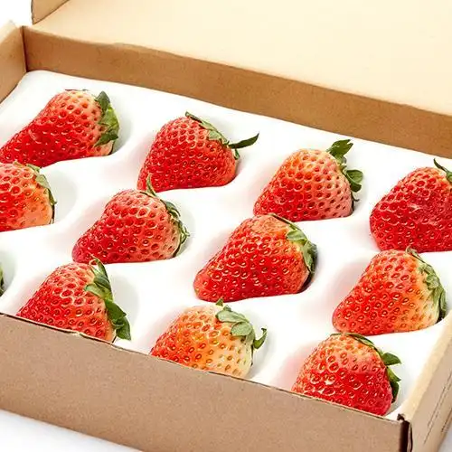 有机红颜草莓 15粒 (盒装400g)