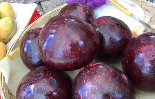 红椰子的功效与作用吃红椰子的好处有哪些