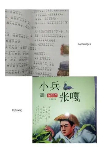 读《小兵张嘎》有感