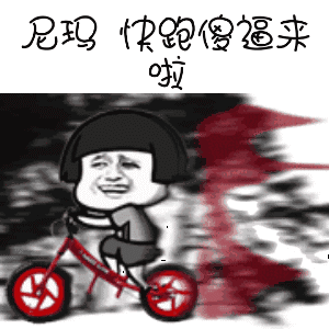 骑车尼玛快跑傻逼来啦gif动图_动态图_表情包下载_soogif