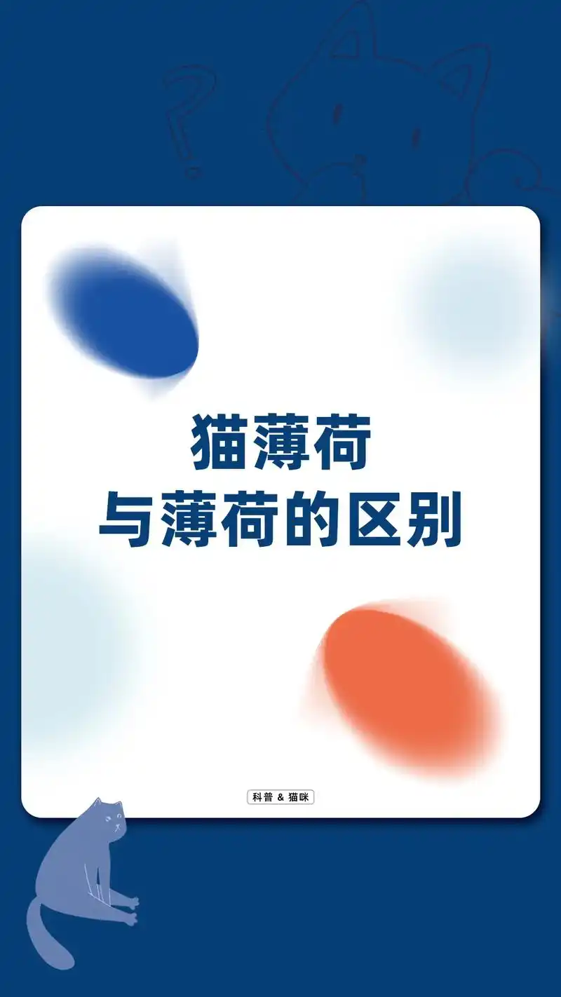 猫薄荷与薄荷的区别.#科学养宠攻略 #新手养猫 #养猫人 # - 抖音