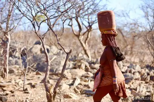 非洲纳米比亚原始部落,辛巴族红泥人的生活发展史《杏林福寿》陈业辉