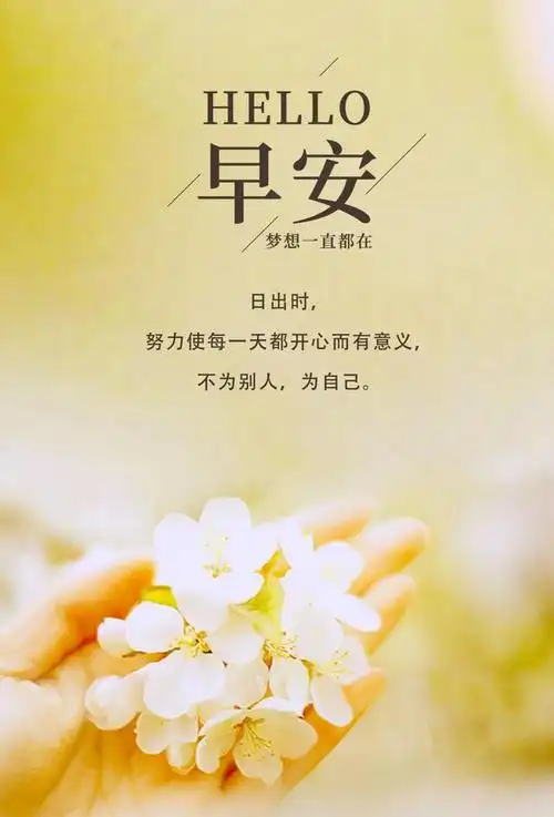 最新早安发朋友圈的精美句子,心向阳光,温暖四溢!