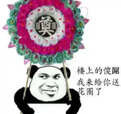 楼上的傻屌我来给你送花圈了.jpg
