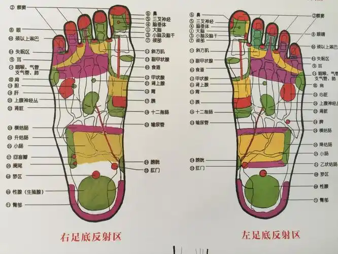 反射疗法手记之轻松治便秘