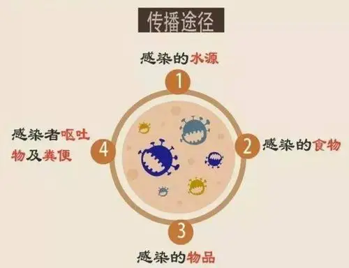 城南幼儿园诺如病毒宣传小常识 写美篇诺如病毒的预防   切断传染途径