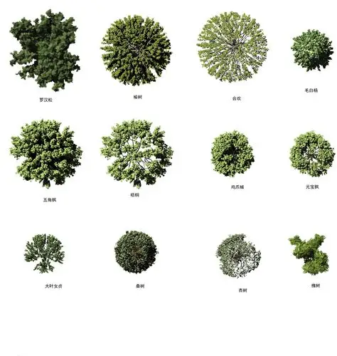 立体树平面树例图片