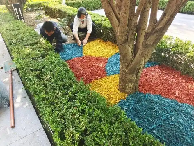 滨江物业丨杭州市扮靓家园行动滨江物业积极响应亮点妙招齐上阵