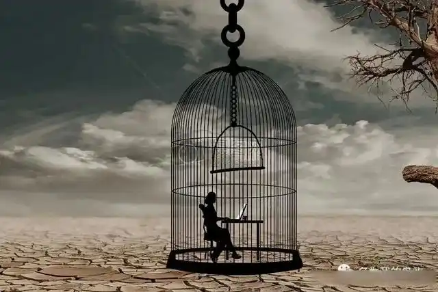 打破内心的牢笼,像鸟一样自由飞翔——读《跨过内心那座山》有感