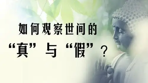 如何观察世间的真与假