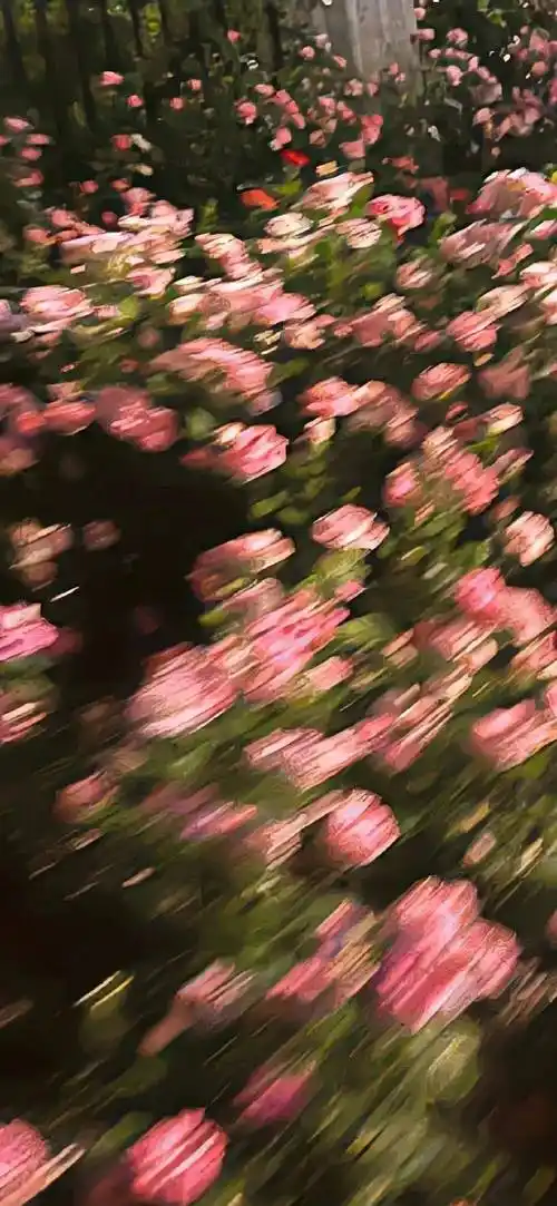 壁纸| 苹果壁纸ins高级质感