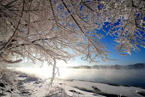 大美吉林雾凇一角!