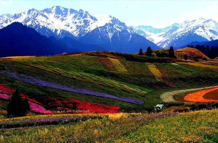 听,这里的雪山花海动情吟唱