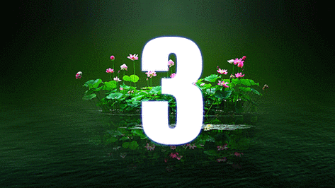 急求一个动态的3秒倒计时图背景好看点的最好.有的请发给我谢谢.