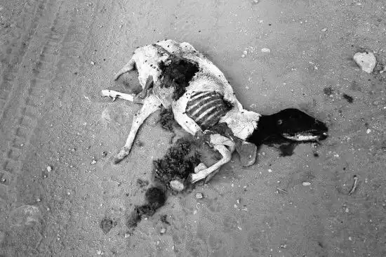 谁是下一位气候难民?