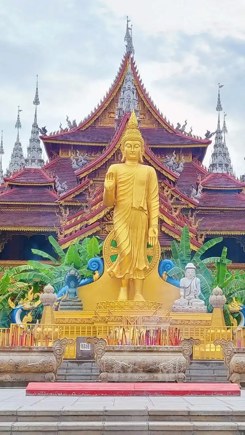 曼听公园(云南4a级景区)曼听公园是西双版纳最古老的公园,有 - 抖音