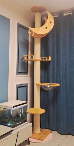 通天柱实木猫爬架太空舱猫窝猫树一体剑麻猫抓柱猫咪别墅