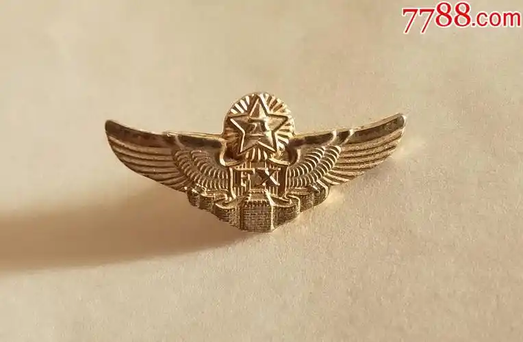 老式收藏系胸针空军飞行迷你襟章