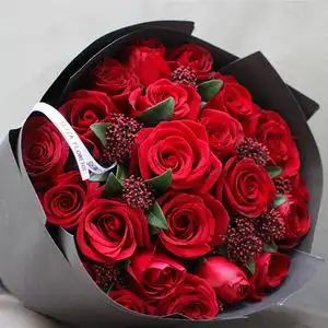 eliza艾丽莎2圣诞节情人节金典19支红玫瑰高端花束鲜花定同城