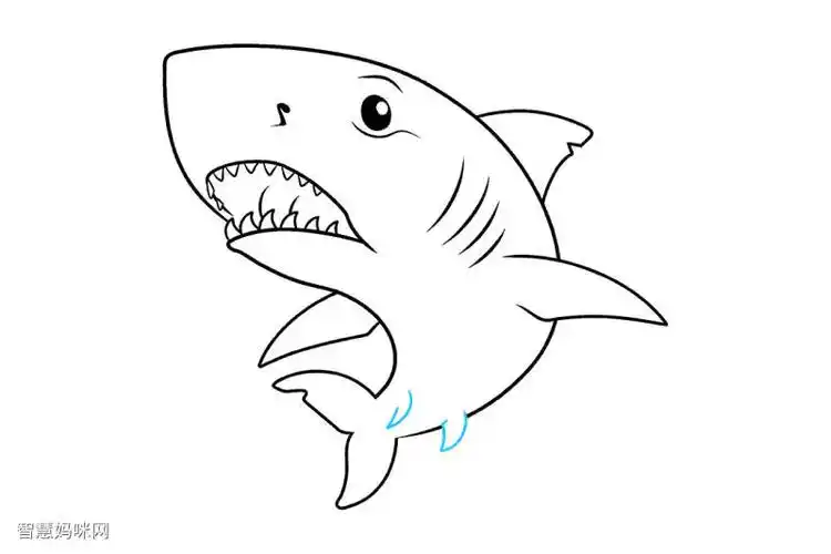 大白鲨怎么画