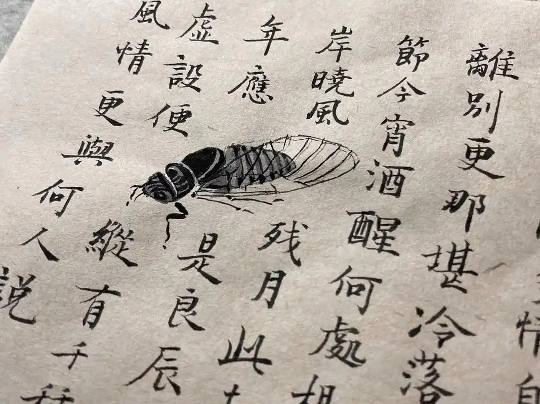 简笔画.#练字 #小楷 #瘦金体 - 抖音