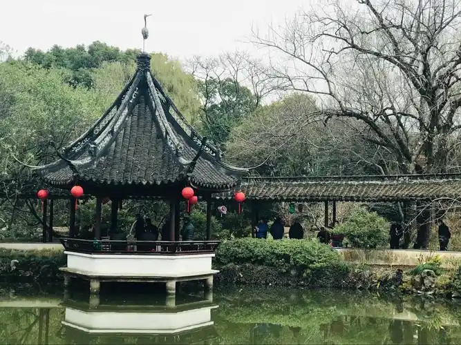 新春游醉白池公园