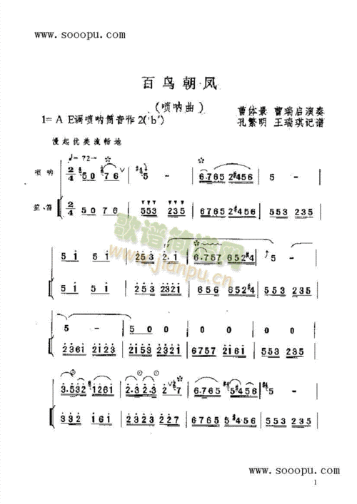 百鸟朝凤民乐类唢呐