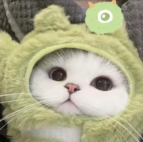猫咪头像 情侣头像 抖音:多肉奶团 787838106